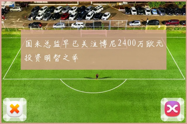 国米总监早已关注博尼2400万欧元投资明智之举