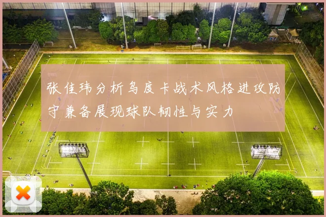 张佳玮分析乌度卡战术风格进攻防守兼备展现球队韧性与实力
