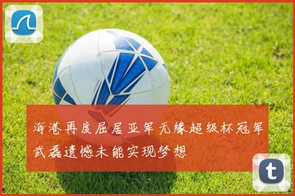 海港再度屈居亚军无缘超级杯冠军武磊遗憾未能实现梦想