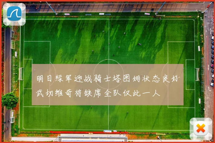 明日绿军迎战骑士塔图姆状态良好武切维奇将缺席全队仅此一人