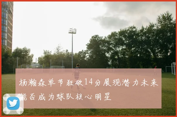 杨瀚森单节狂砍14分展现潜力未来能否成为球队核心明星