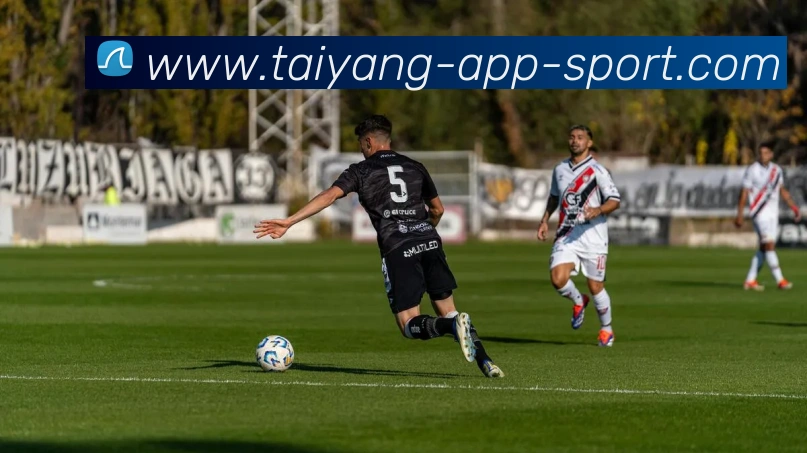 太阳城平台生态图